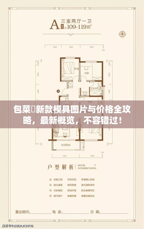 包菜粿新款模具圖片與價(jià)格全攻略，最新概覽，不容錯(cuò)過！
