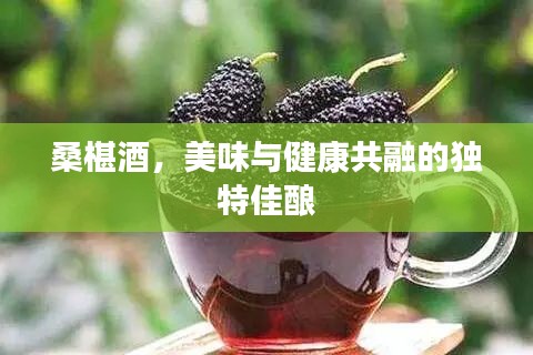 桑椹酒，美味與健康共融的獨(dú)特佳釀