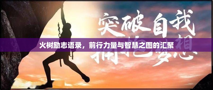 火樹勵志語錄，前行力量與智慧之圖的匯聚