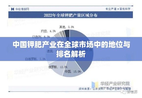 中國鉀肥產(chǎn)業(yè)在全球市場中的地位與排名解析