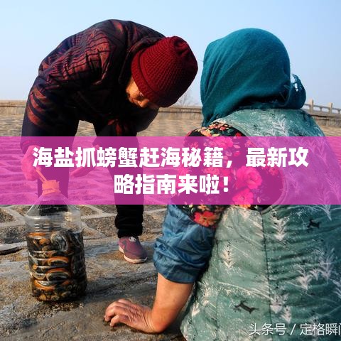 海鹽抓螃蟹趕海秘籍，最新攻略指南來啦！