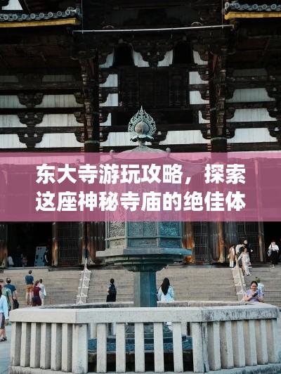 東大寺游玩攻略，探索這座神秘寺廟的絕佳體驗(yàn)！