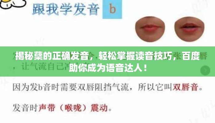 揭秘蘗的正確發(fā)音，輕松掌握讀音技巧，百度助你成為語音達人！