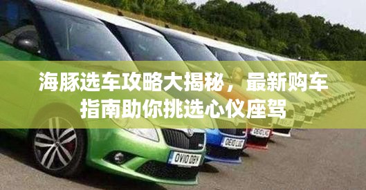 海豚選車攻略大揭秘，最新購車指南助你挑選心儀座駕