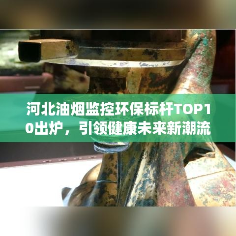 河北油煙監(jiān)控環(huán)保標桿TOP10出爐，引領(lǐng)健康未來新潮流
