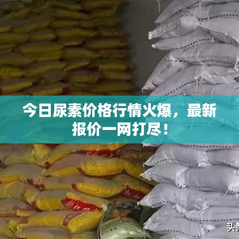 今日尿素價(jià)格行情火爆，最新報(bào)價(jià)一網(wǎng)打盡！