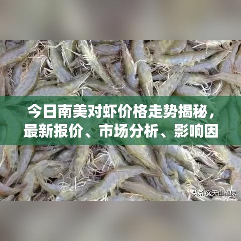 今日南美對蝦價格走勢揭秘，最新報價、市場分析、影響因素探討