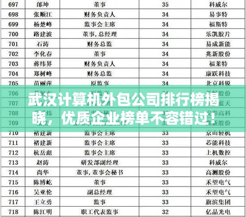 武漢計(jì)算機(jī)外包公司排行榜揭曉，優(yōu)質(zhì)企業(yè)榜單不容錯(cuò)過(guò)！