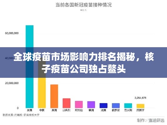 全球疫苗市場影響力排名揭秘，核子疫苗公司獨(dú)占鰲頭
