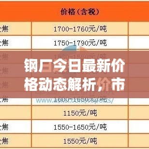 鋼廠今日最新價格動態(tài)解析，市場走勢深度分析