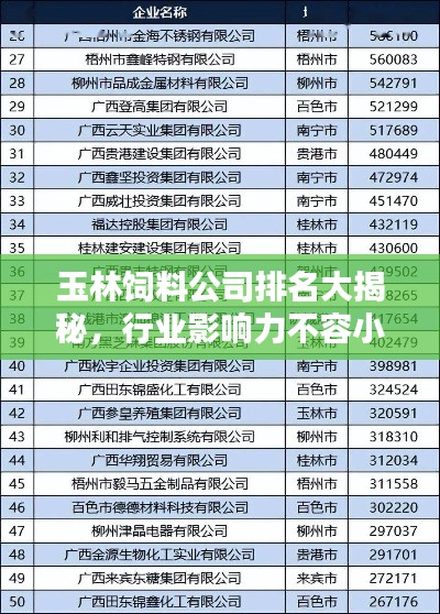玉林飼料公司排名大揭秘，行業(yè)影響力不容小覷
