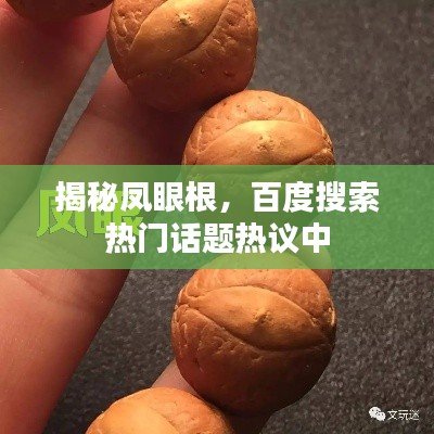 揭秘鳳眼根，百度搜索熱門話題熱議中