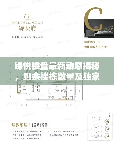 臻悅樓盤最新動(dòng)態(tài)揭秘，剩余樓棟數(shù)量及獨(dú)家消息速遞