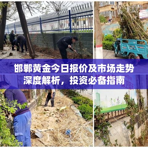 邯鄲黃金今日報價及市場走勢深度解析，投資必備指南