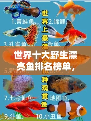 世界十大野生漂亮魚排名榜單，驚艷你的眼球！
