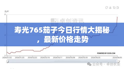 壽光765茄子今日行情大揭秘，最新價(jià)格走勢(shì)