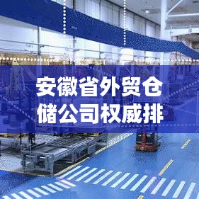 安徽省外貿(mào)倉儲公司權(quán)威排名榜單揭曉！