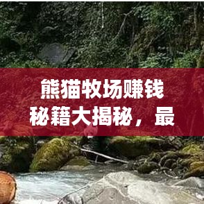 熊貓牧場賺錢秘籍大揭秘，最新攻略助你打造財富牧場！