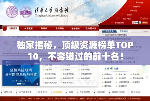 獨(dú)家揭秘，頂級資源榜單TOP10，不容錯過的前十名！