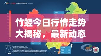 竹蟶今日行情走勢(shì)大揭秘，最新動(dòng)態(tài)一網(wǎng)打盡