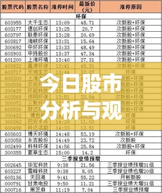 今日股市分析與觀察，最新動態(tài)，熱門板塊一網(wǎng)打盡