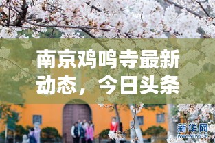 南京雞鳴寺最新動態(tài)，今日頭條新聞報道揭秘！