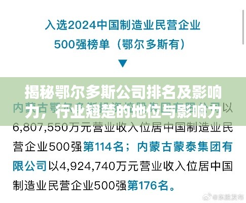 揭秘鄂爾多斯公司排名及影響力，行業(yè)翹楚的地位與影響力解析