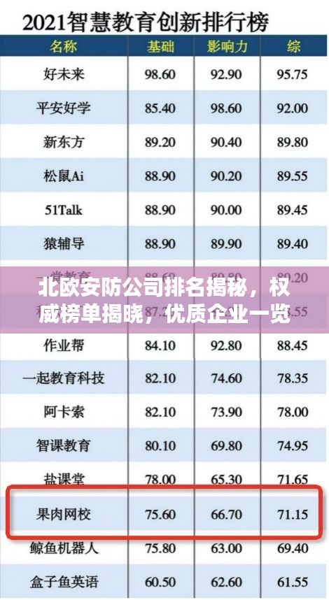 北歐安防公司排名揭秘，權(quán)威榜單揭曉，優(yōu)質(zhì)企業(yè)一覽無遺