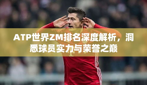 ATP世界ZM排名深度解析，洞悉球員實力與榮譽之巔