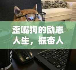 歪嘴狗的勵志人生，振奮人心的名言警句