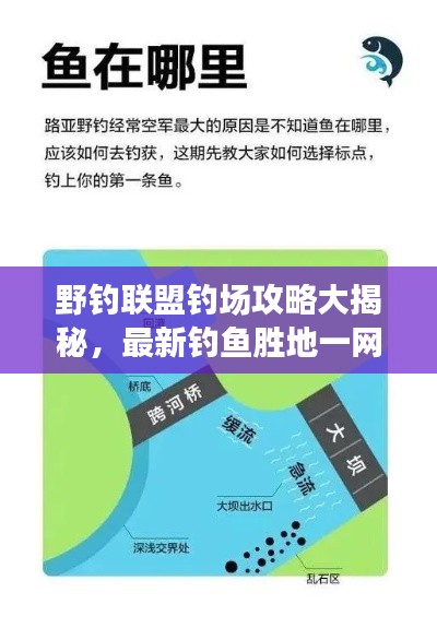 野釣聯(lián)盟釣場攻略大揭秘，最新釣魚勝地一網(wǎng)打盡！