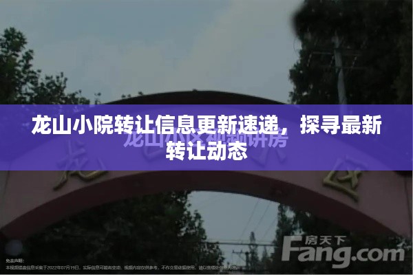 龍山小院轉(zhuǎn)讓信息更新速遞，探尋最新轉(zhuǎn)讓動態(tài)