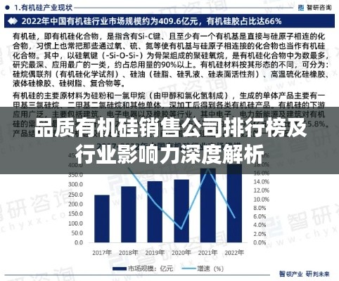 品質(zhì)有機(jī)硅銷售公司排行榜及行業(yè)影響力深度解析