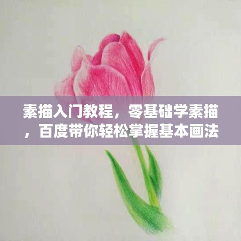 素描入門(mén)教程，零基礎(chǔ)學(xué)素描，百度帶你輕松掌握基本畫(huà)法