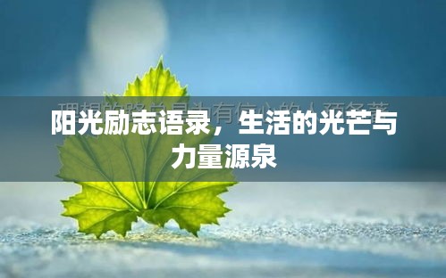陽(yáng)光勵(lì)志語(yǔ)錄，生活的光芒與力量源泉